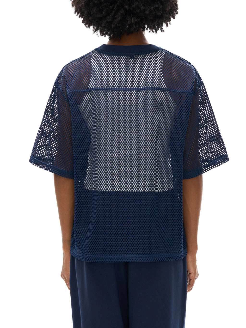 CATASTROPHE See-through Boxy Net T-Shirt